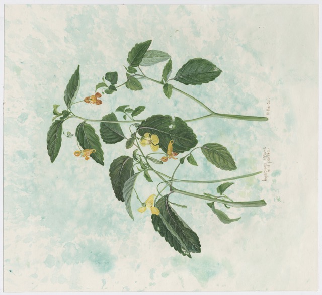 Artwork by Bartel, Maureen