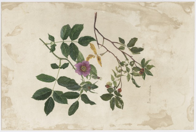Artwork by Bartel, Maureen