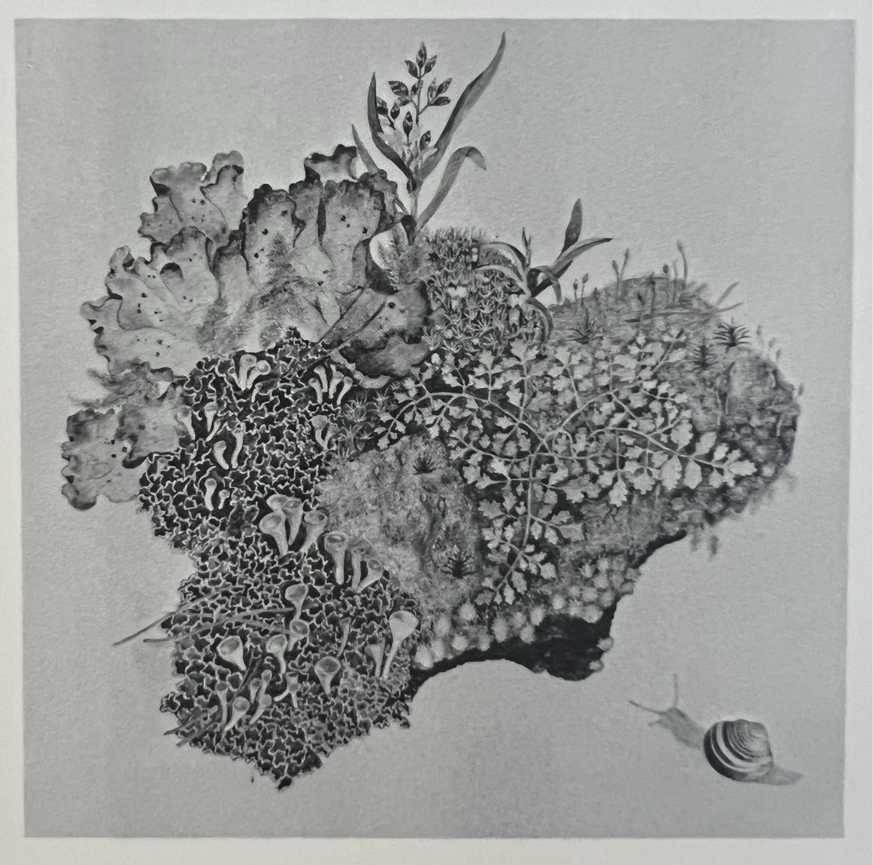 Artwork by Borkowsky-Braendlin, Hanni