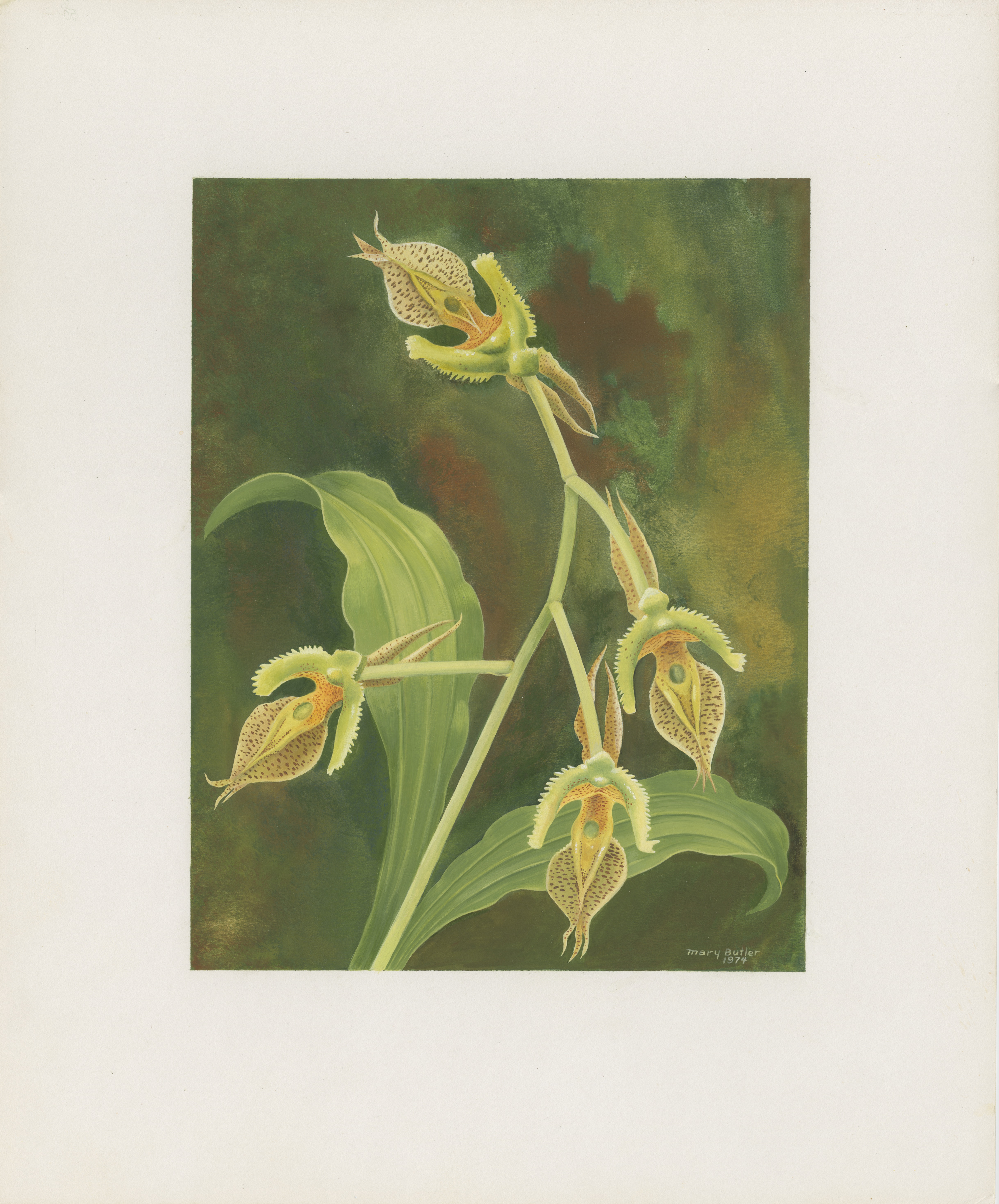Artwork by Butler, Mary