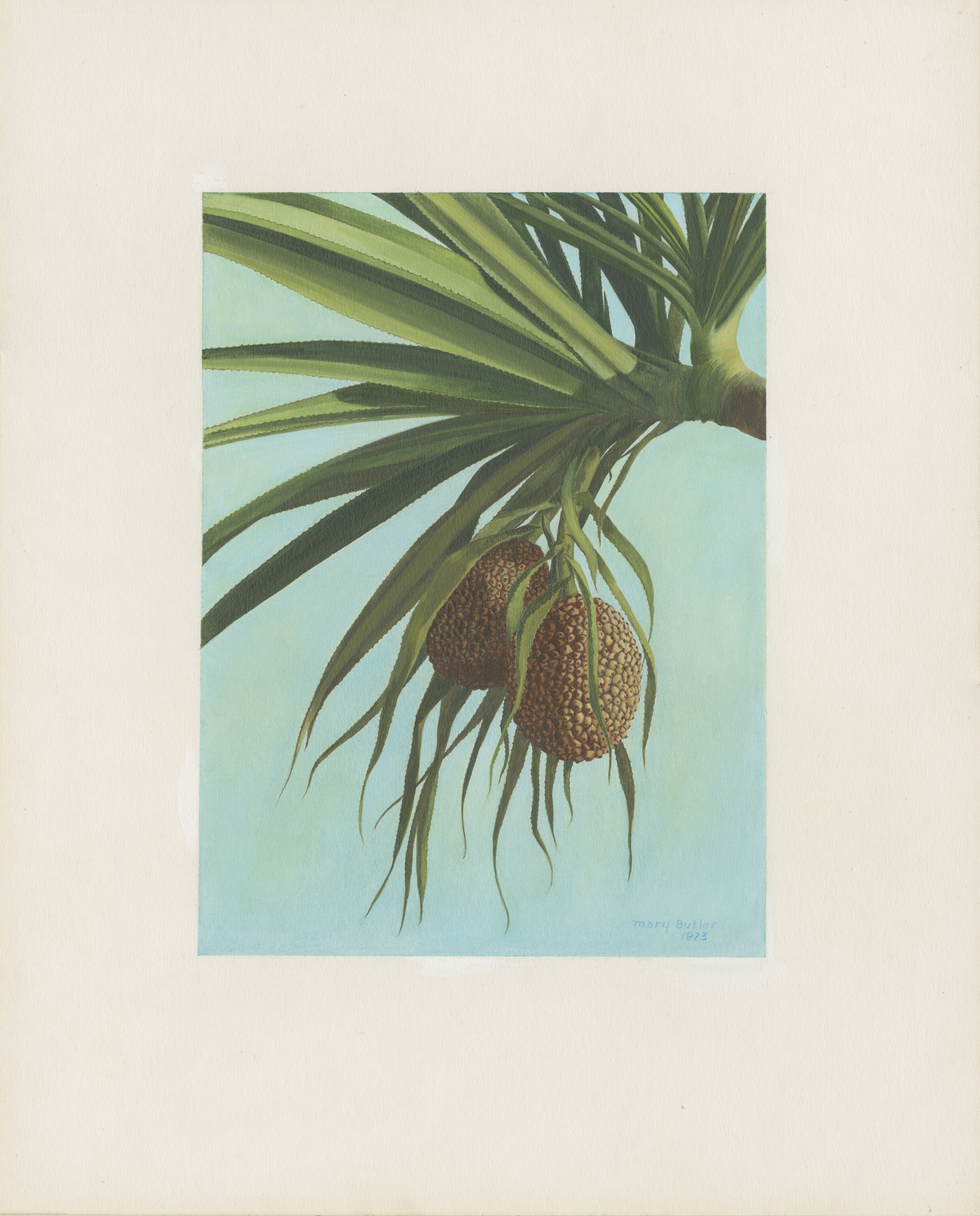 Artwork by Butler, Mary