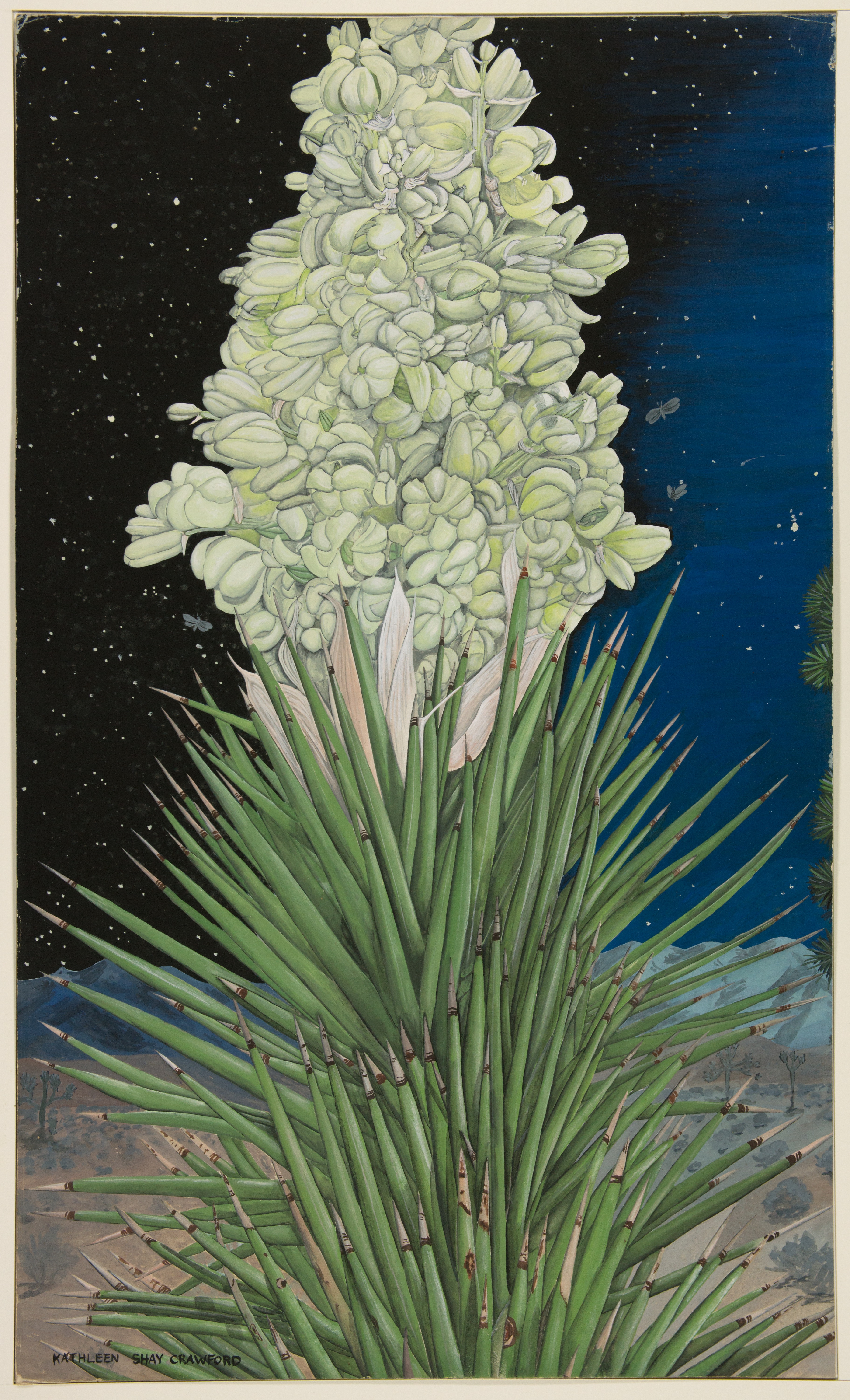 Artwork by Crawford, Kathleen S.