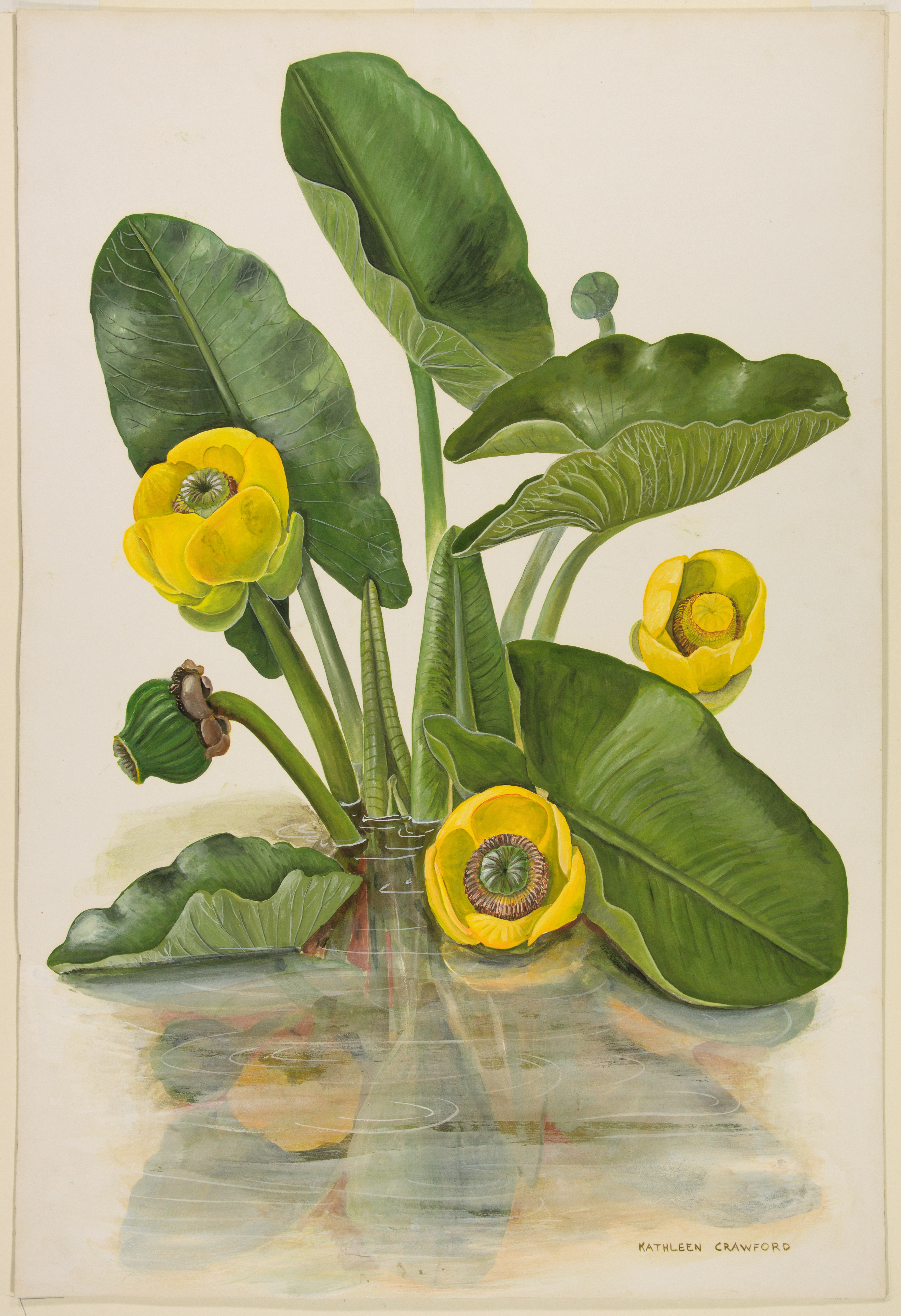 Artwork by Crawford, Kathleen S.