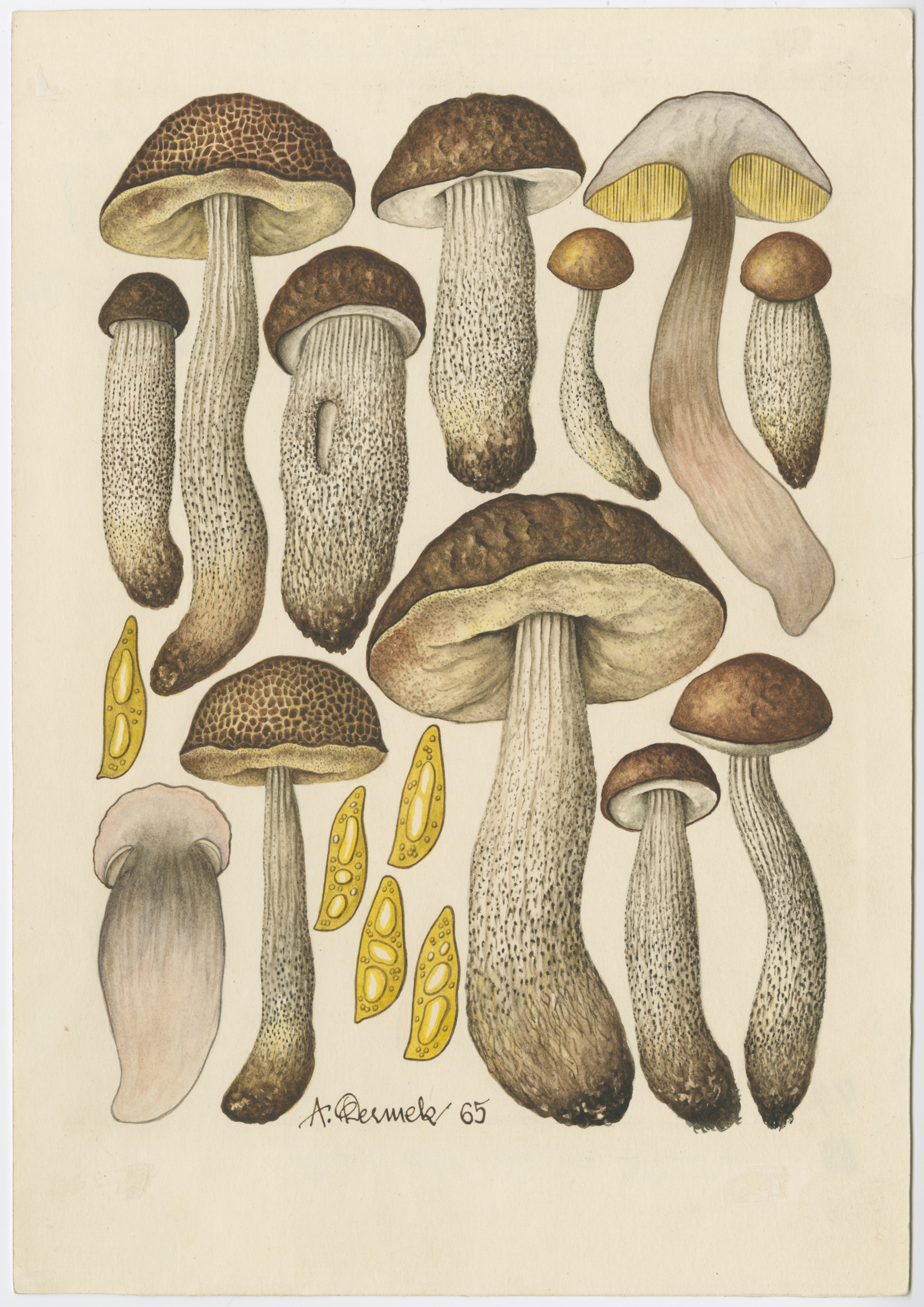 Artwork by Dermek, Aurel