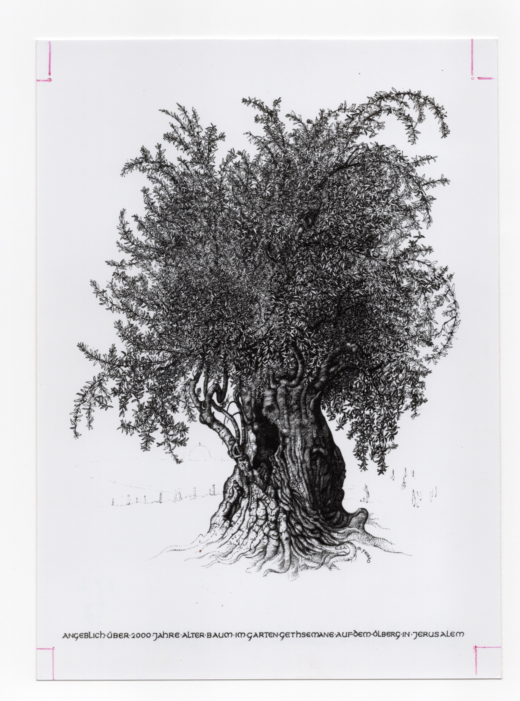 Artwork by Felsko-Schülke, Elsa Maria