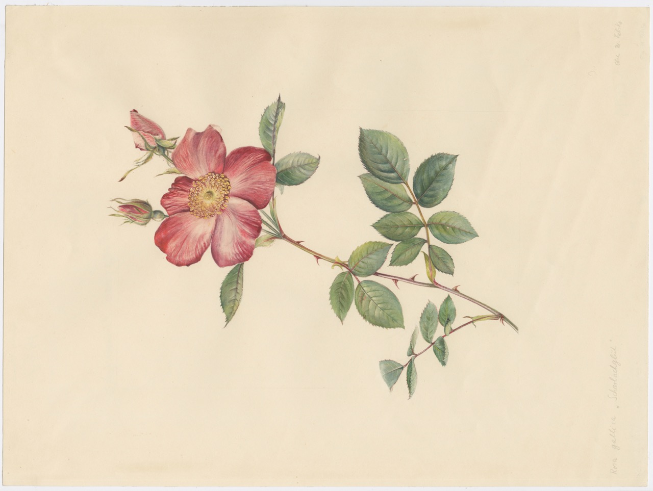Artwork by Felsko-Schülke, Elsa Maria
