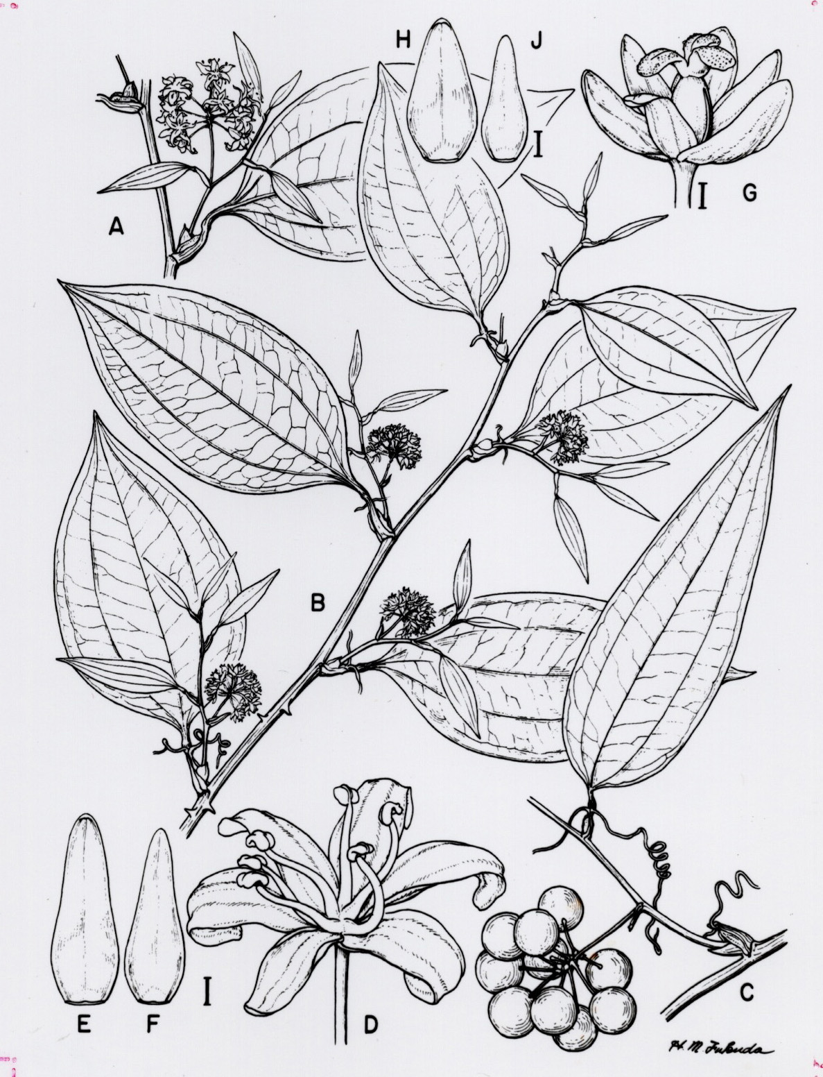 Artwork by Fukuda, Haruto