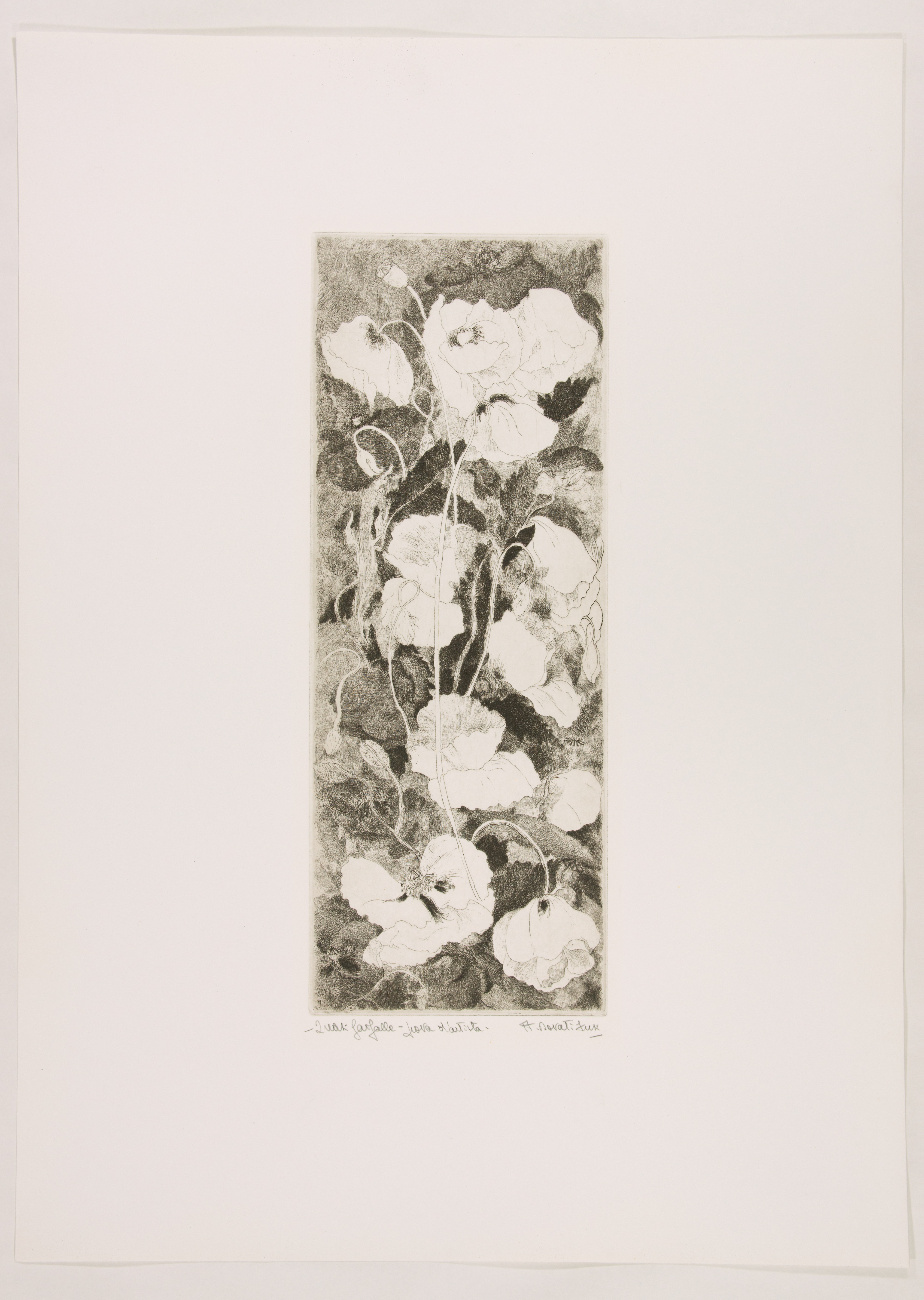 Artwork by Fusi, Almina Dovati