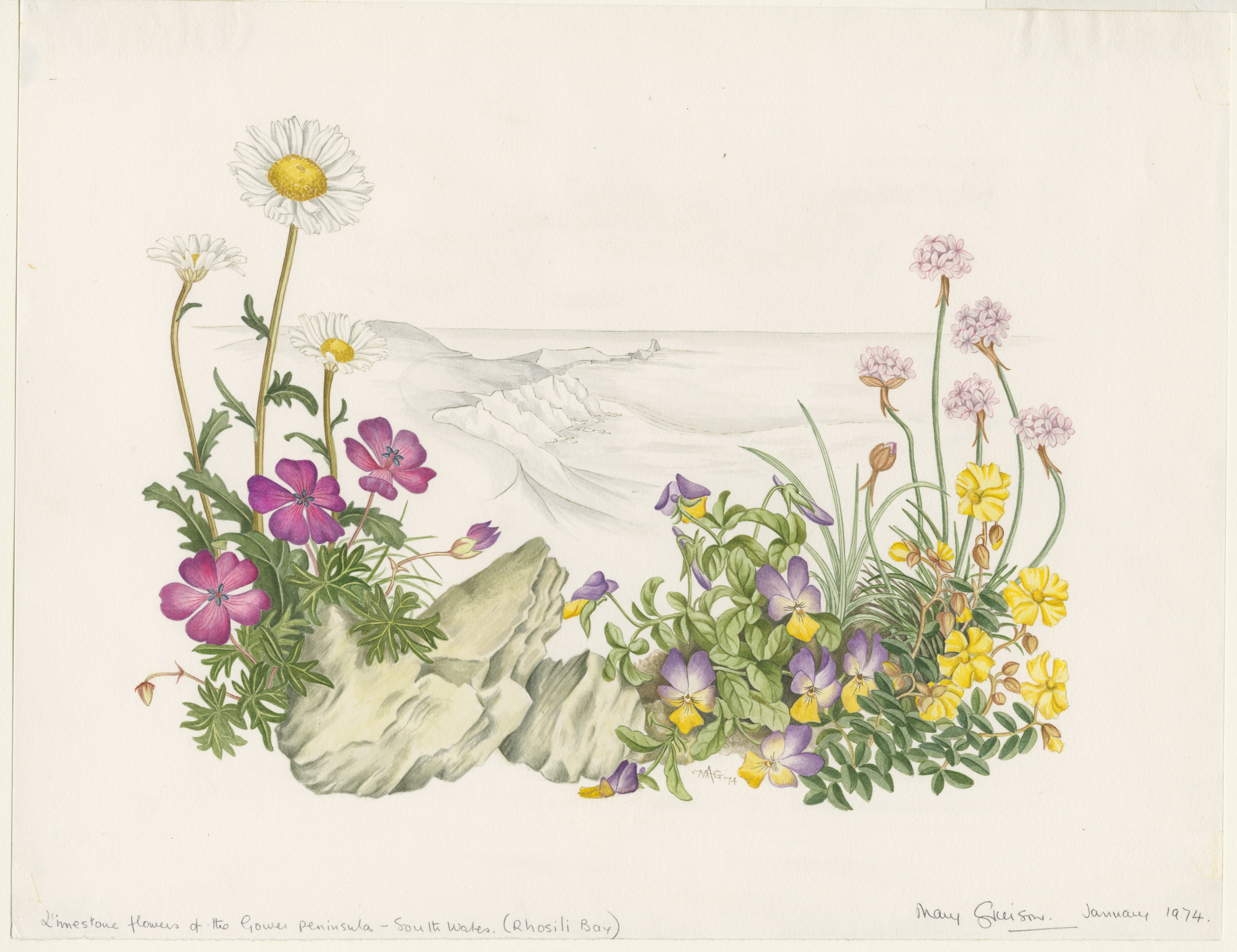 Artwork by Grierson, Mary Anderson
