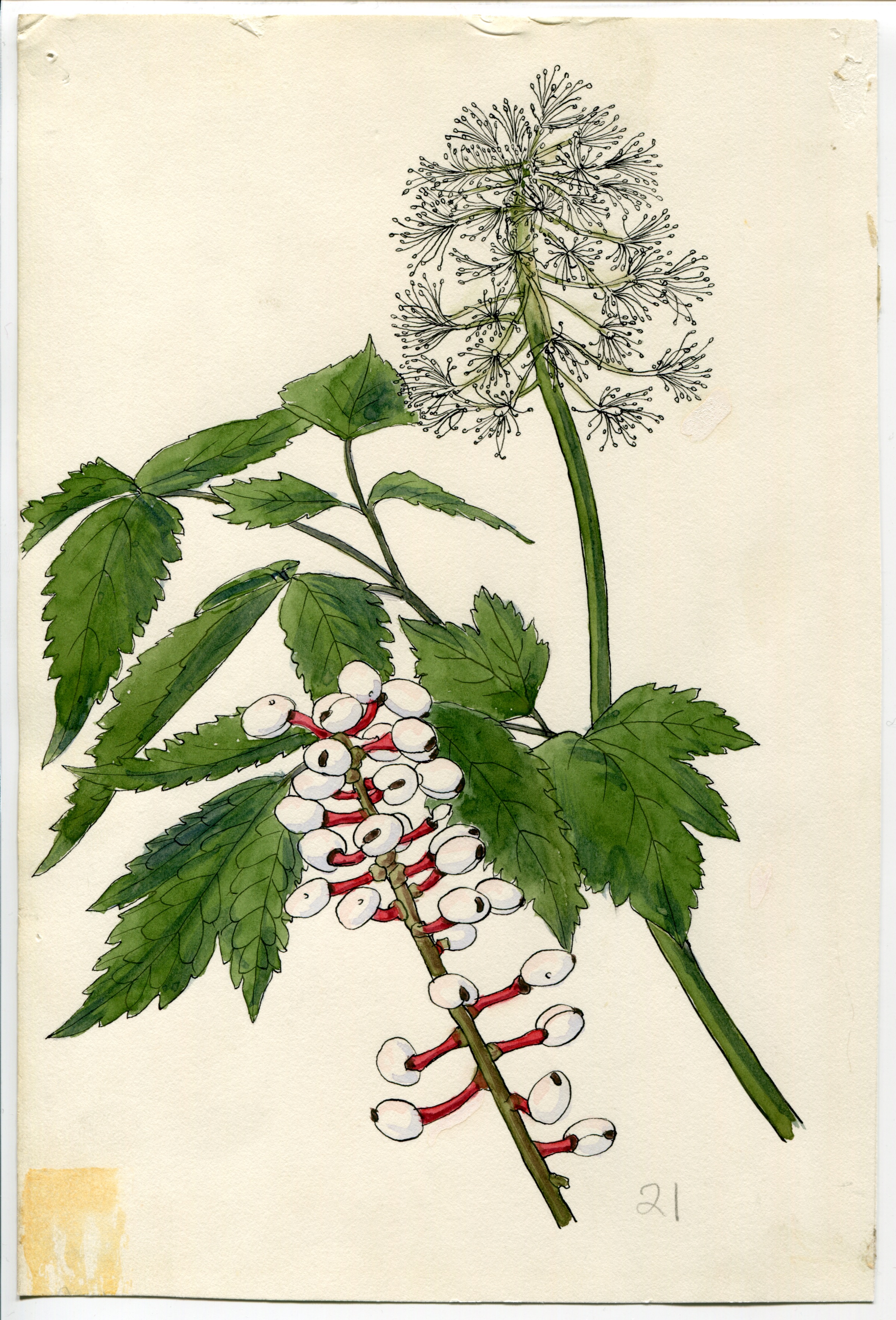 Artwork by Hammond, Catherine R.
