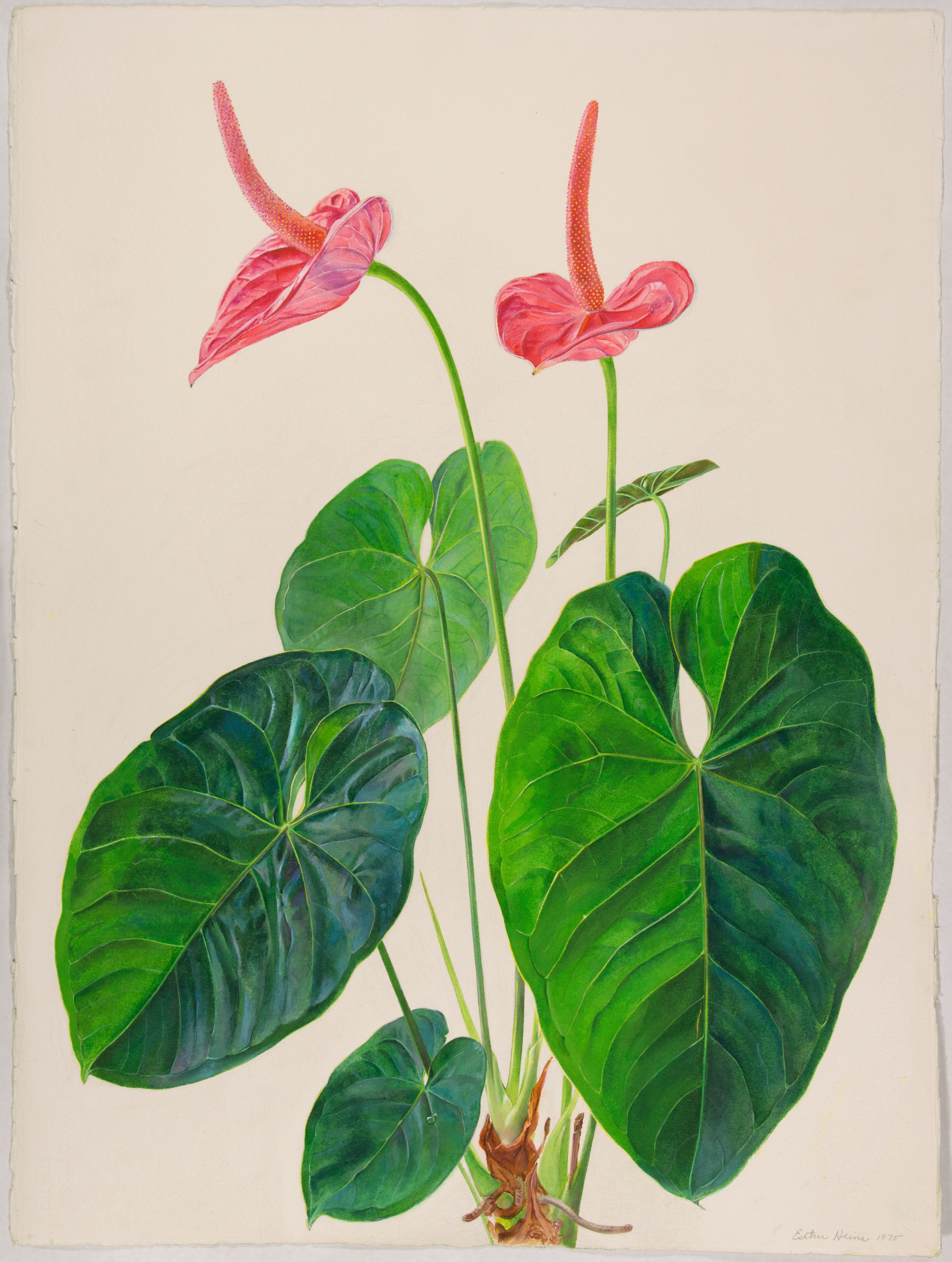 Artwork by Heins, Esther