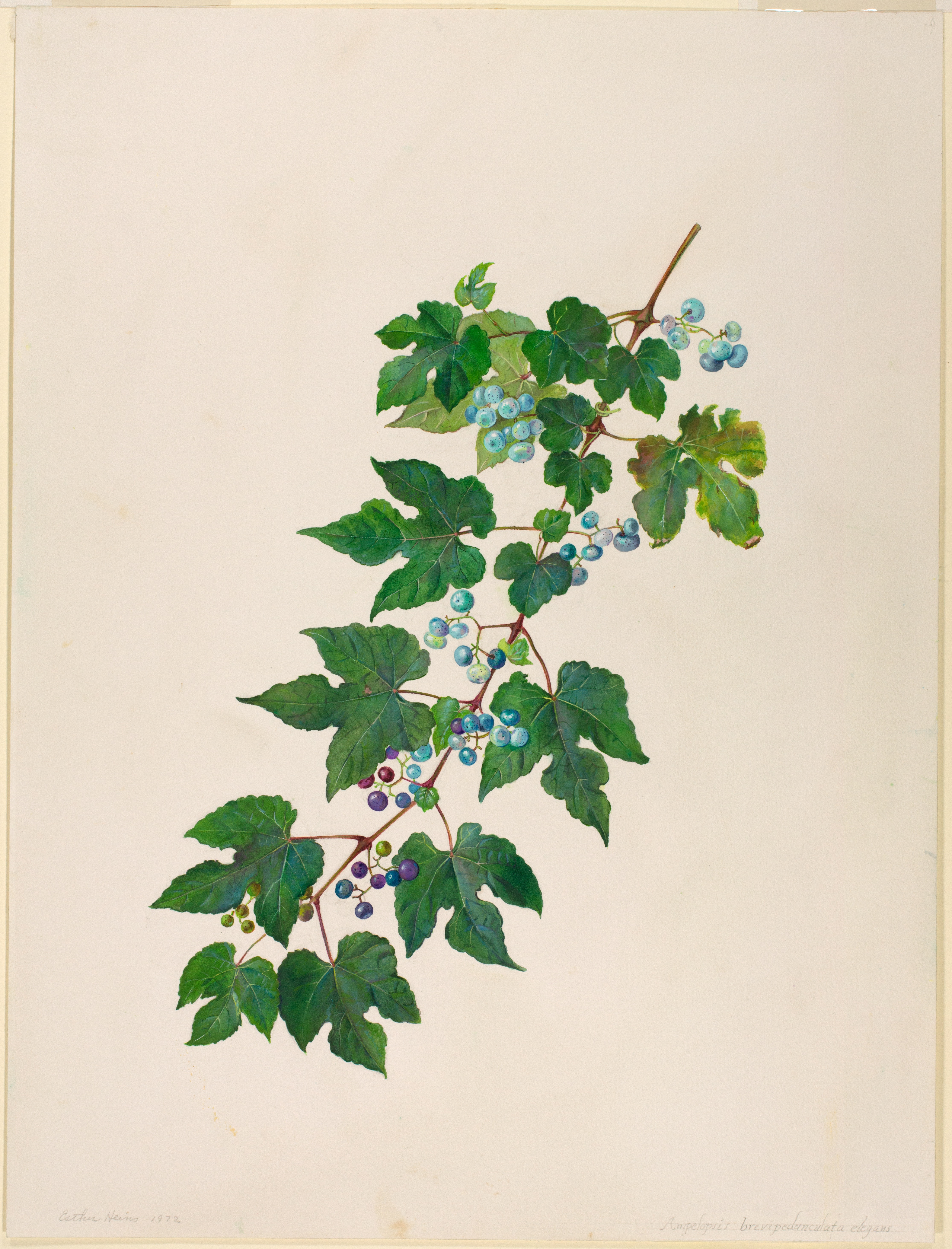 Artwork by Heins, Esther