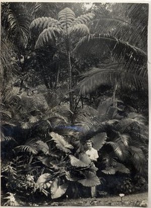 Allen, Dorothy Osdieck
