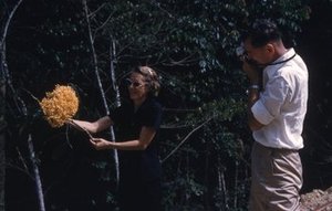 Allen, Dorothy Osdieck