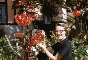 Allen, Dorothy Osdieck