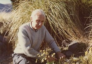 Anderson, Alexander Walter