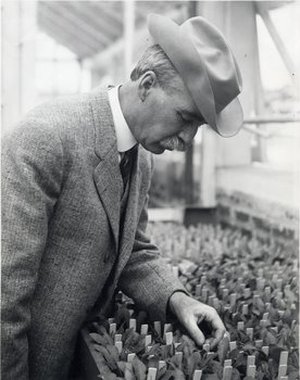 Atkinson, George Francis