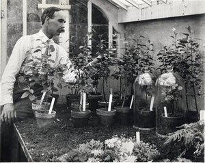 Atkinson, George Francis