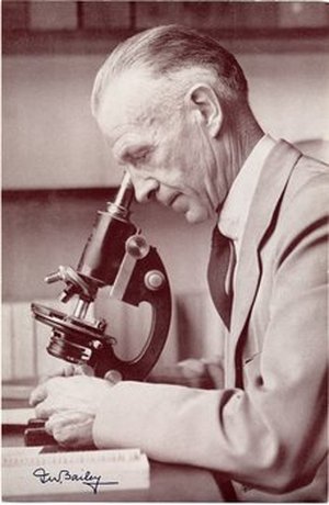 Bailey, Irving Widmer
