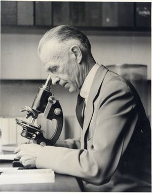 Bailey, Irving Widmer