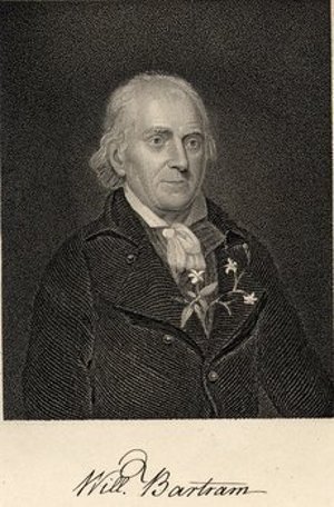 Bartram, William