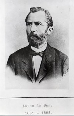 Bary, Heinrich Anton de