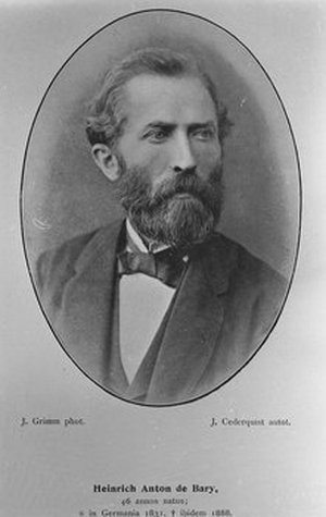 Bary, Heinrich Anton de