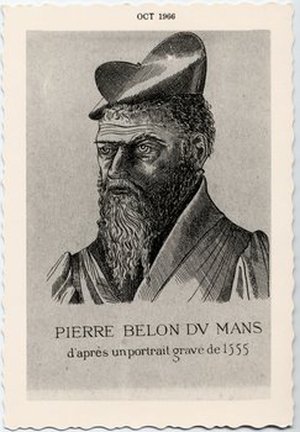 Belon, Pierre