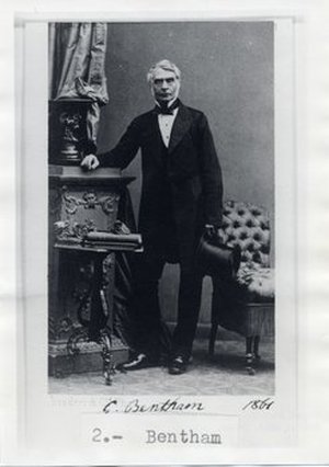 Bentham, George