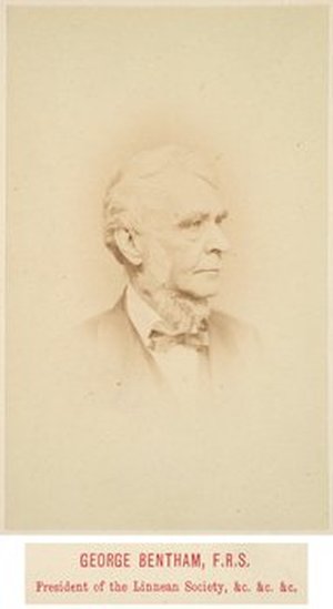 Bentham, George