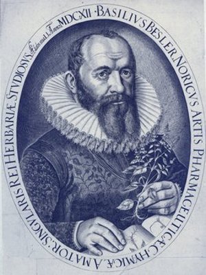 Besler, Basilius