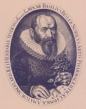 Besler, Basilius
