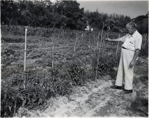 Bissett, David