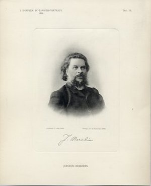 Borodin, Ivan Parfen'evich