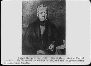 Brown, Robert