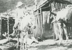Chase, Mary Agnes Merrill (née Meara; Mrs. William Ingraham)
