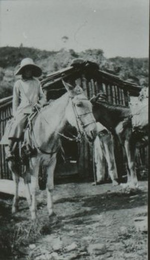 Chase, Mary Agnes Merrill (née Meara; Mrs. William Ingraham)