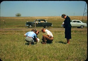 Clover, Elzada Urseba