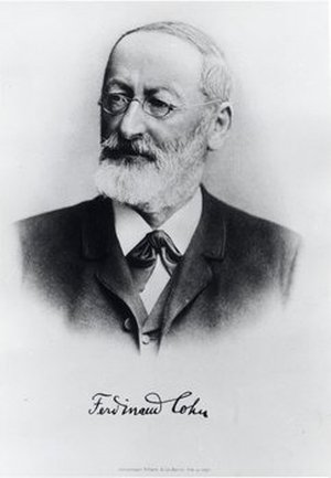 Cohn, Ferdinand Julius