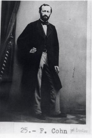 Cohn, Ferdinand Julius