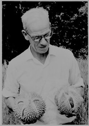 Corner, Edred John Henry