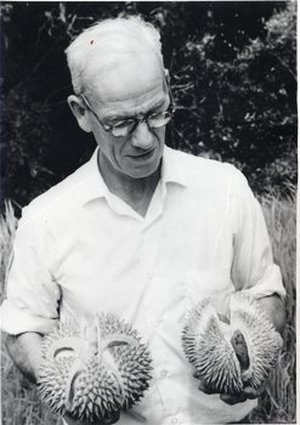 Corner, Edred John Henry