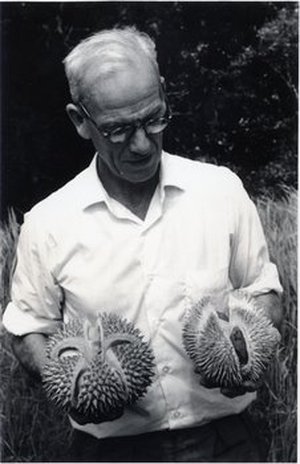 Corner, Edred John Henry