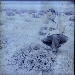 Correll, Donovan Stewart