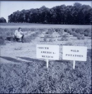 Correll, Donovan Stewart