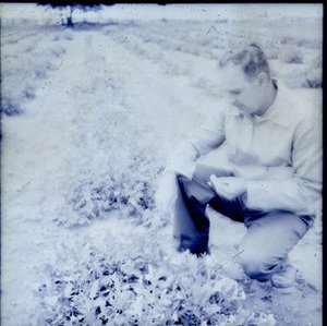 Correll, Donovan Stewart