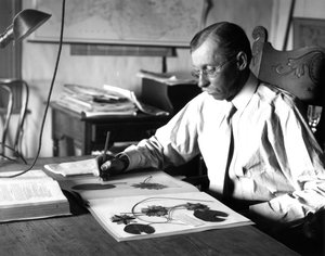 Cuthbert, Alfred