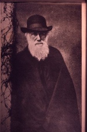 Darwin, Charles Robert