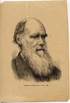 Darwin, Charles Robert
