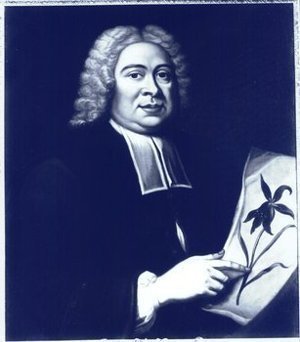 Dillenius, Johann Jakob